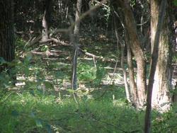 Cooperlake_040.jpg